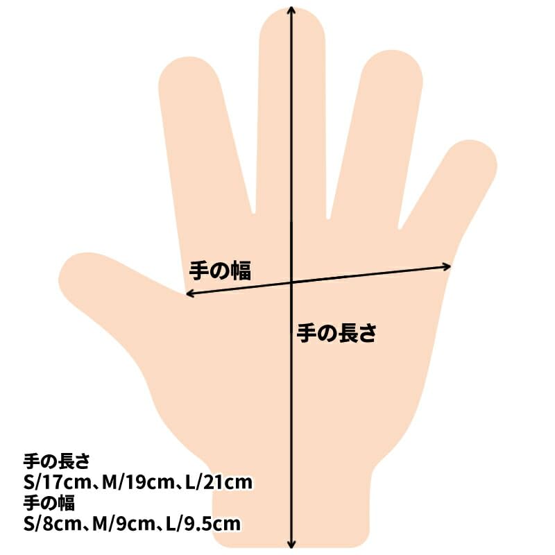 Amazon | [ラケットフィールド] 【スポーツステッカー付き